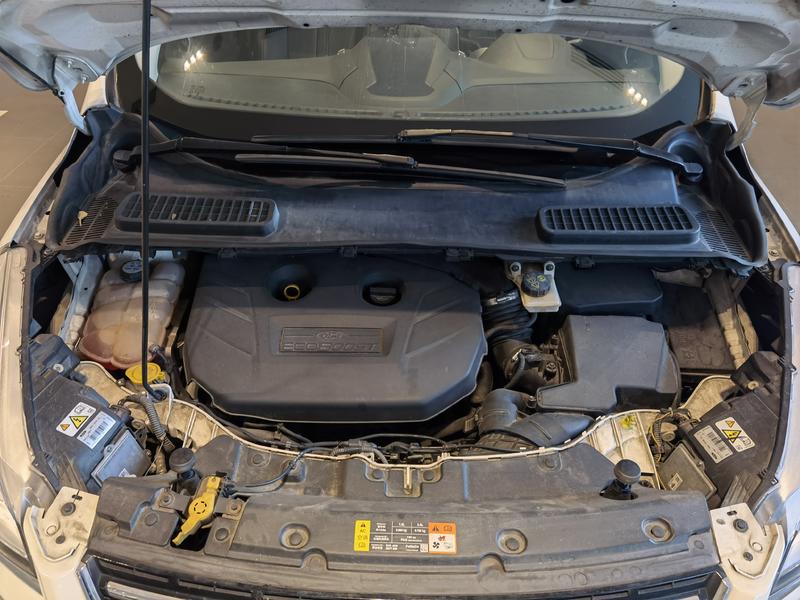 福特 翼虎 翼虎牌caf6450a43            [置换